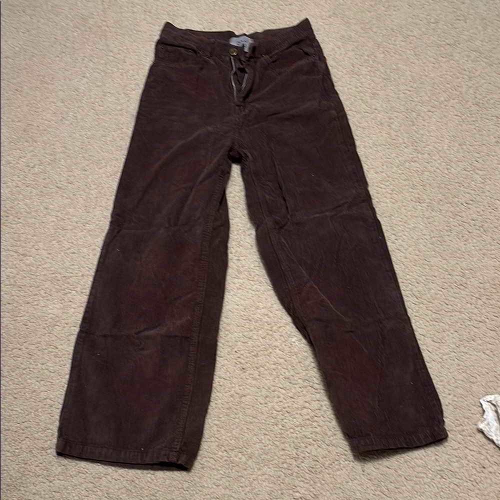 BDG Brown Corduroy Pants Relaxed Fit